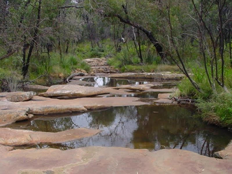 The Ledge Holiday House Halls Gap Exteriör bild